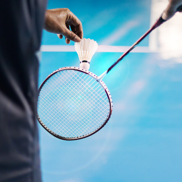 Domaine de Rocquevielle - Badminton