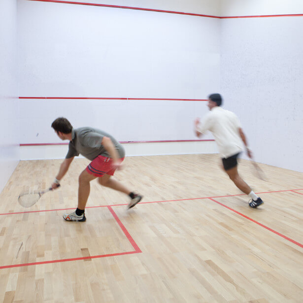 Domaine de Rocquevielle - Squash